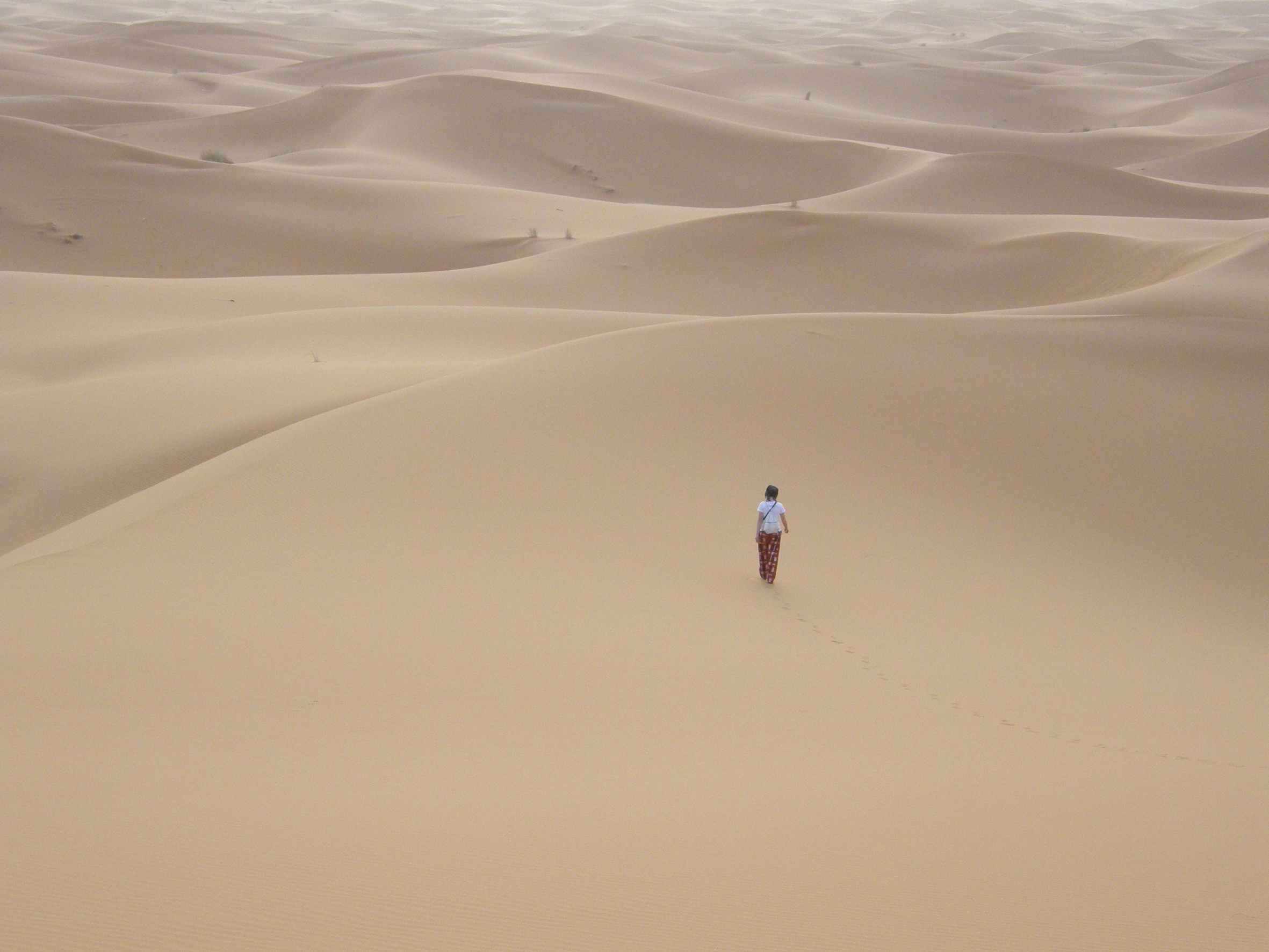 Sempre in cammino - Elisa Moretti